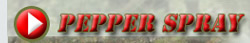 �×܃y�b�p�[�X�v���[�e��